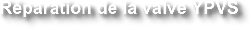￼