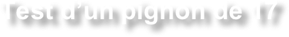 Test d’un pignon de 17